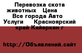 Перевозка скота животных › Цена ­ 39 - Все города Авто » Услуги   . Красноярский край,Кайеркан г.